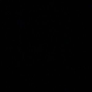 Meet your Posher, Dona